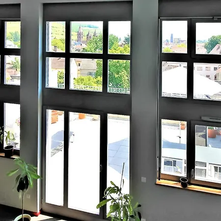 Appartement Loft 50-60 *