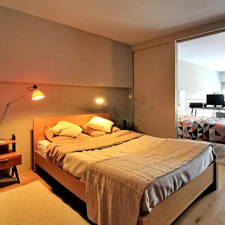 Appartement Loft 50-60 Guebwiller